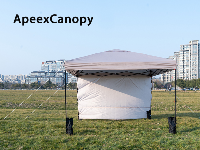 Amazon | ApeexCanopy タープテント 2.5m×2.5m【専用横幕/サイドシート